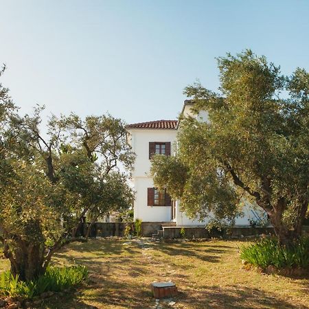 Βίλλα Φανούλα Villa Fanoula ซอร์โต ภายนอก รูปภาพ