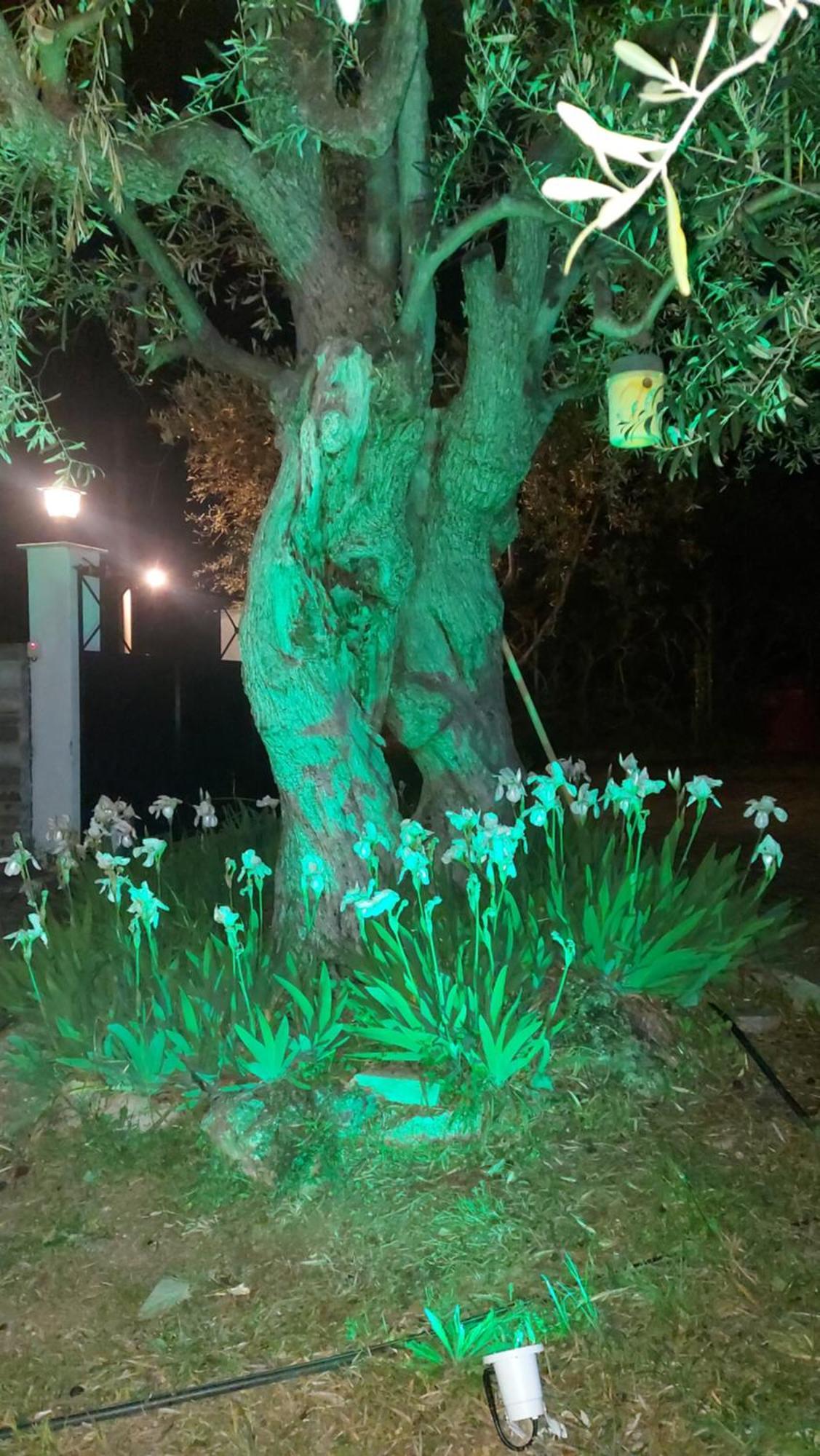 Βίλλα Φανούλα Villa Fanoula ซอร์โต ภายนอก รูปภาพ